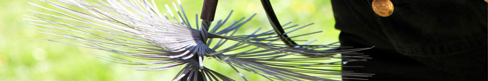 Banner - Detlef Breiding